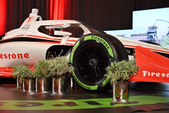 A small shrub used to make IndyCar racing tires could help save rainforests and make deserts greener