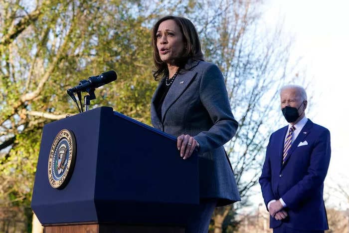 44,000 Black women raised $1.5 million for Kamala Harris in 3 hours on a Zoom call that crashed the online meeting platform