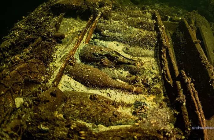 Divers found cases of 150-year-old sparkling wine in a shipwreck off the coast of Sweden — and it might still be drinkable