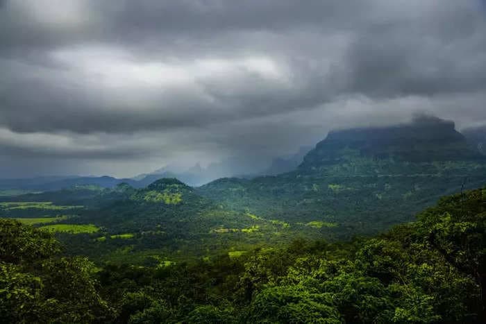 Indian police launch murder investigation after a US woman was found screaming and chained to a tree in the middle of a forest