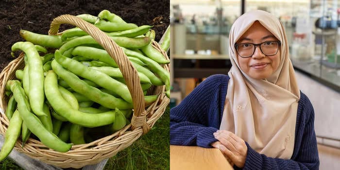 Fava beans could boost mood and ease depression, according to a scientist. She shared her 3 favorite ways to eat them.