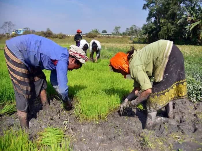 Rural economy is driving India's growth, Govt capex in infra will stimulate it: Anand Rathi report