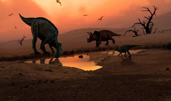 Scientists think they've found the origin of the asteroid that wiped out the dinosaurs. It could help prevent a future mass extinction on Earth.