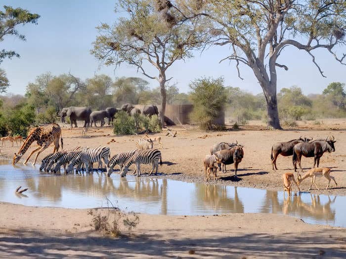 I stayed in a bare-bones bungalow inside Kruger National Park. It was a good value, but I'm not sure I'd do it again.