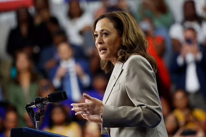 Kamala Harris has made major gains in critical Sun Belt swing states, leads in Arizona and North Carolina: poll