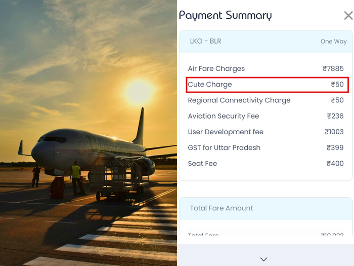 ‘Cute Charge’ explained: Is it a fee for cuteness? Airline’s response to passenger fuels debate