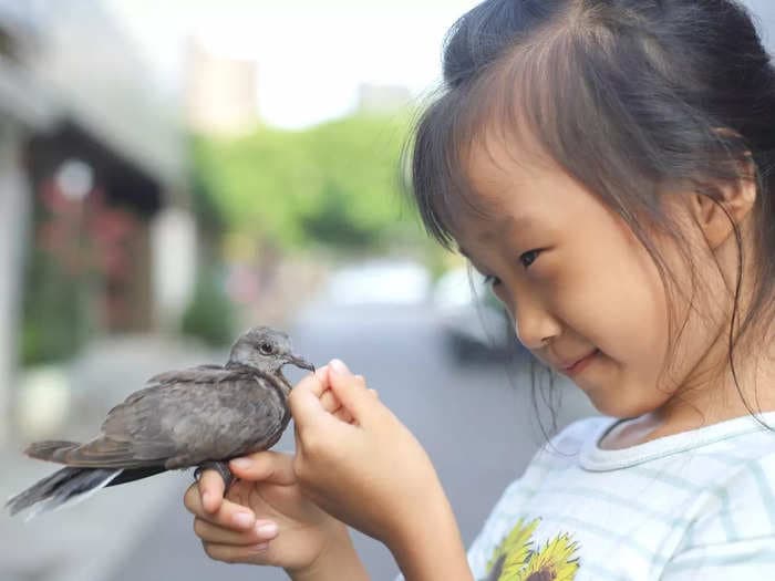 Socioeconomic status—and not urban or rural living—likely to shape your child's connection to nature: Study