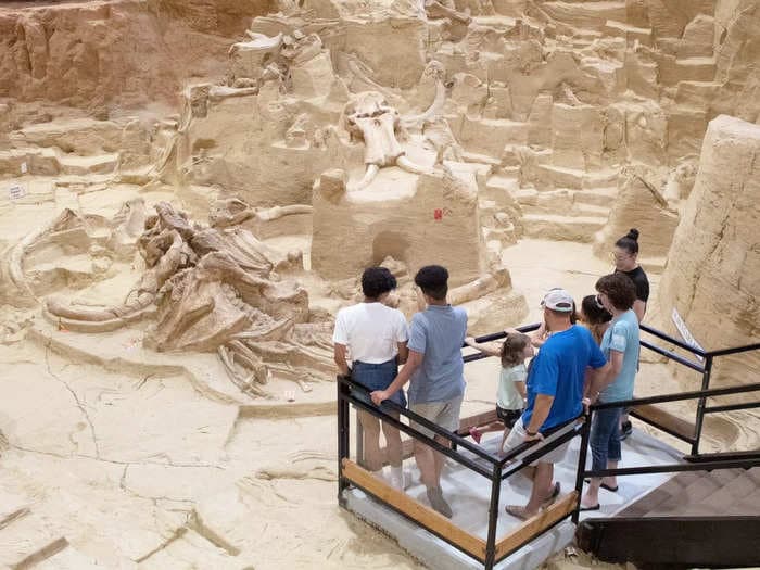 A sinkhole in South Dakota is packed with mammoth fossils that experts have been digging up for half a century. Take a look.