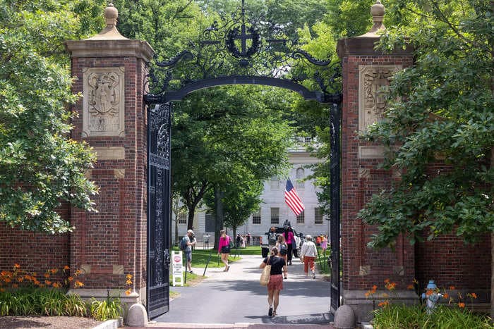 Harvard donations dropped nearly 15% amid wealthy alums' vows to cut off support 