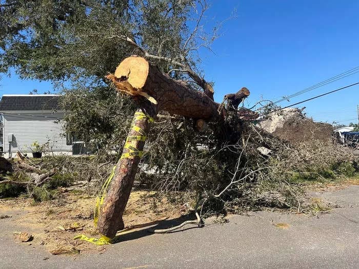 3 major hurricanes in the last 13 months did billions of dollars of damage to Florida's farmlands — and that was before Milton