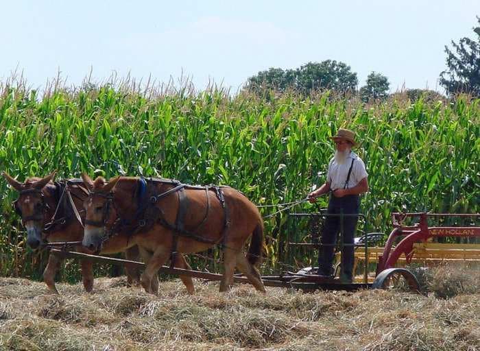 13 Money Secrets From The Amish 