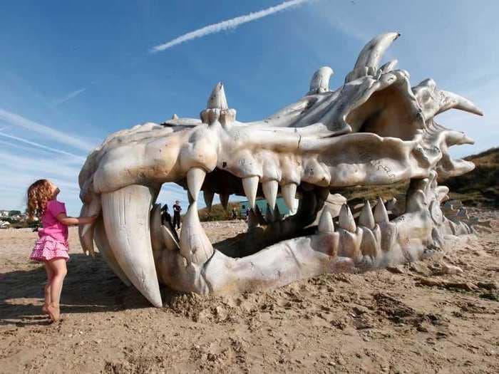 A Dragon's Skull The Size Of A Bus Washed Up On A Beach For 'Game Of Thrones'