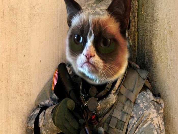 The US Army's April Fools Joke Includes A Photoshopped Hybrid Cat Soldier