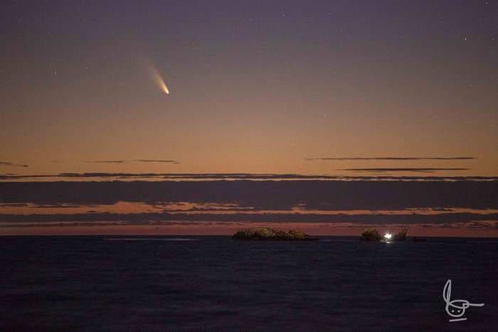 A Bright Comet Appears In The Northern Hemisphere For The First Time In Years [PHOTOS]