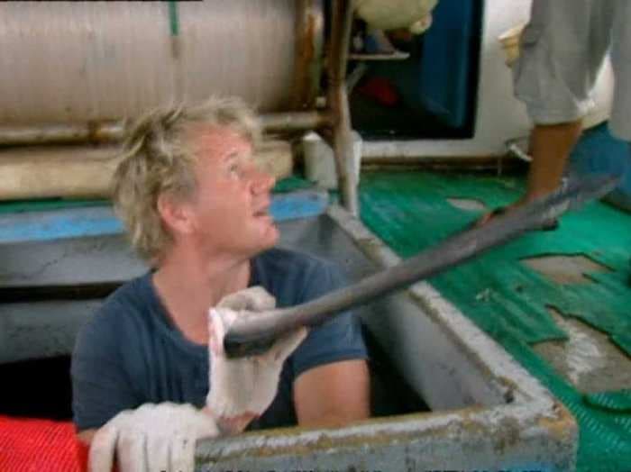 Here's What Happened When Celebrity Chef Gordon Ramsay Tried To Investigate The Illegal Shark Trade