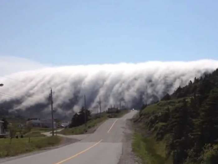 Mesmerizing Video Shows Giant Wall Of Fog Rolling Over Newfoundland Mountains