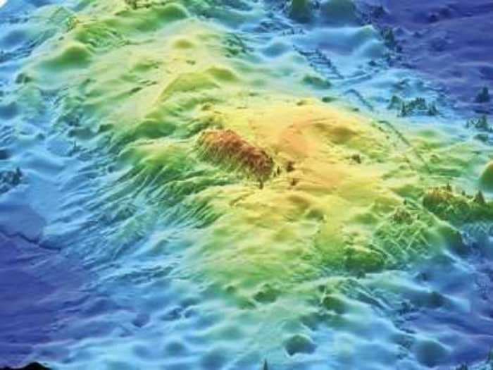 Oceanographers Think They've Found The Largest Volcano On Earth
