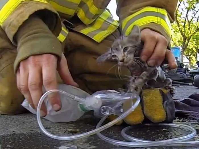 Real-Life Firefighter Saves Kitten From Certain Death In Latest GoPro Ad