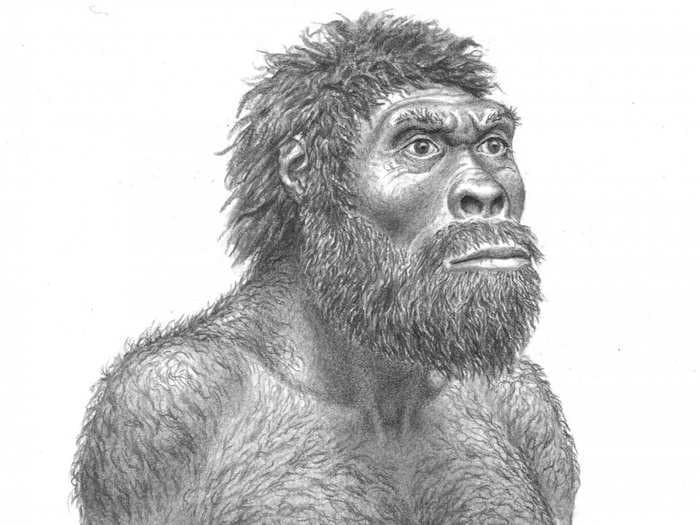 This Is What The Early Human Rewriting Evolutionary History May Have Looked Like