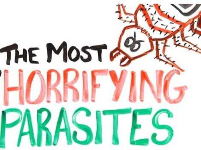 These 6 Horrifying Parasites Will Make Your Skin Crawl