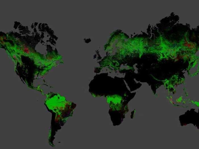 New Maps Show Where Earth's Forests Are Being Destroyed