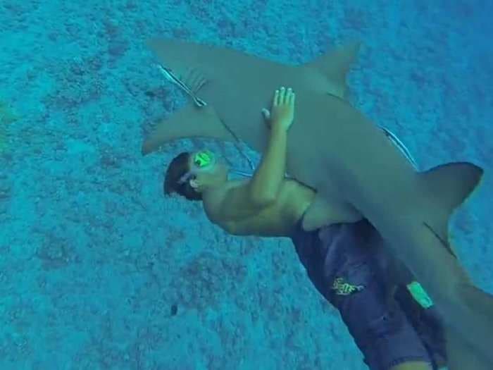 Swimmer Bear Hugs A Shark In Bora Bora [Video]