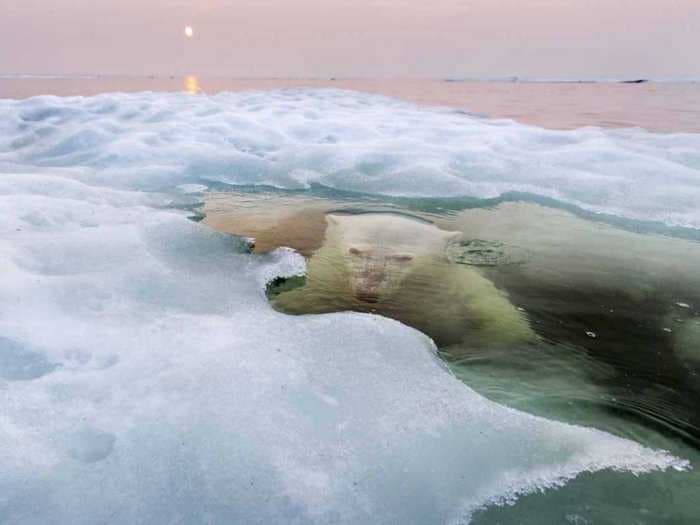 Here Are The Breathtaking Pictures That Won National Geographic's 2013 Photography Contest