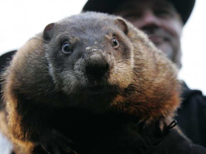 It's Groundhog Day For Investors, Too
