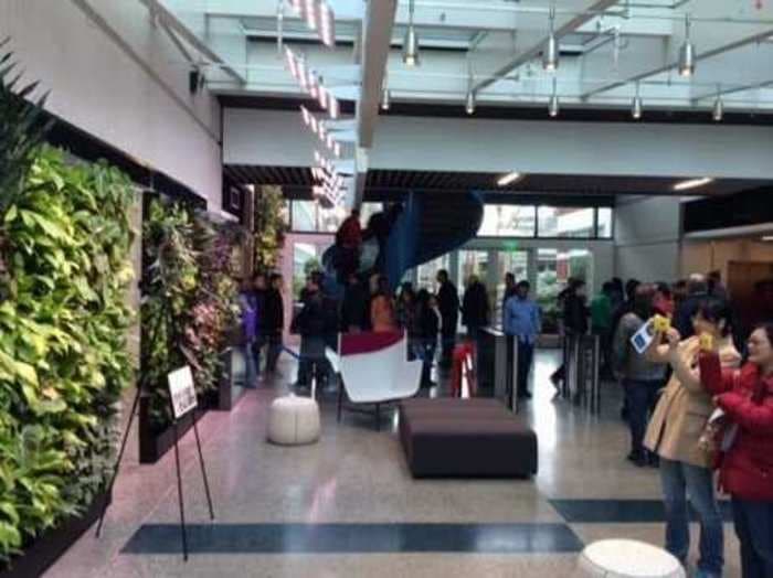 PHOTOS: Pineapples Are Growing Out Of Microsoft's Walls