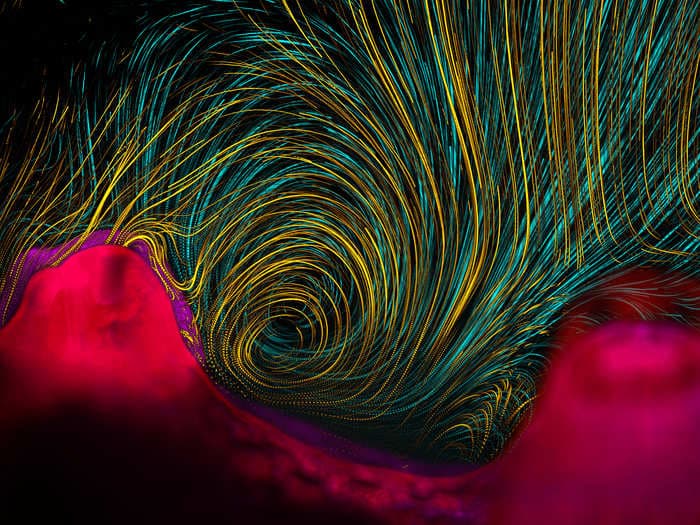 The Most Incredible Science Animations Of 2013