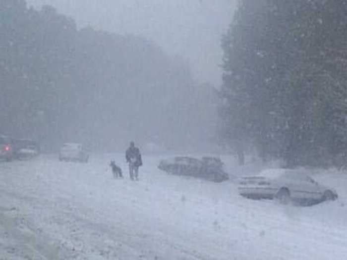 North Carolina Asks Drivers To Please Not Abandon Their Cars In The Snow