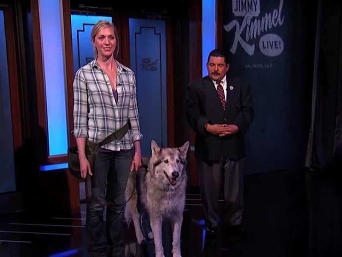 Jimmy Kimmel, Olympian Kate Hansen Reveal How They Pulled Off The Sochi Wolf Prank