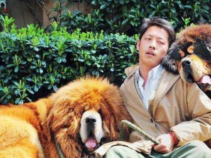 A Chinese Property Developer Just Paid Nearly $2 Million For This Puppy
