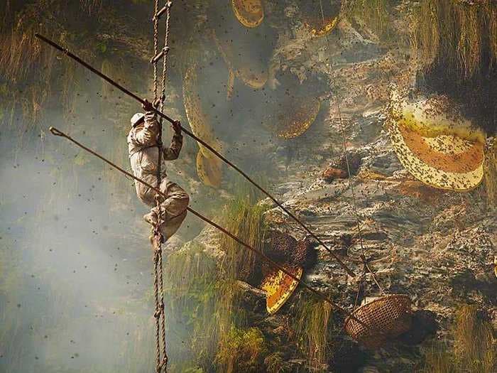 Unbelievable Photos Of The Disappearing Art Of Hunting Honey In Nepal's Cliffs