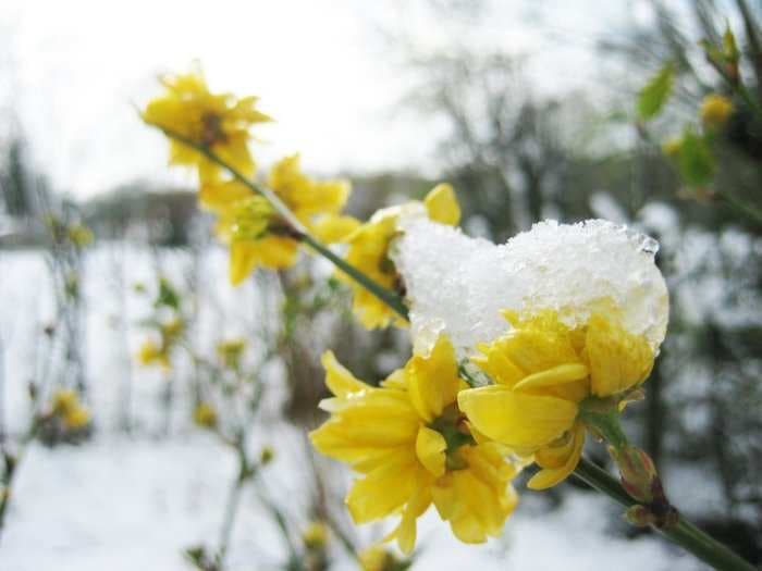 The Euro Zone Economy Is Feeling Frost In The Spring