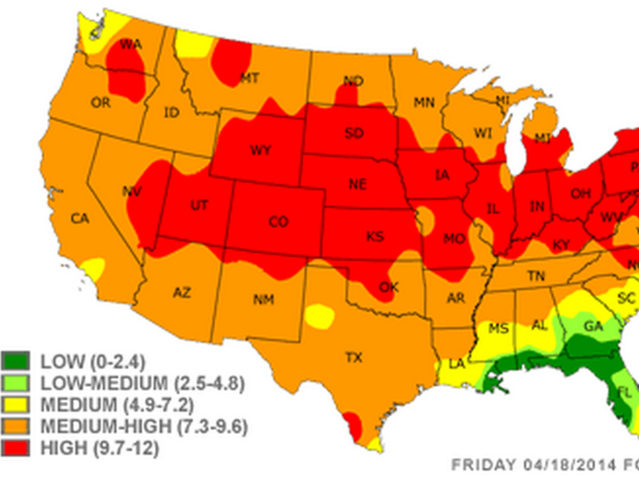 The Worst Places In The US For Seasonal Allergies