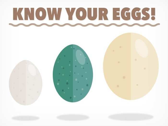 This Chart Tells You Everything You Need To Know About Eggs