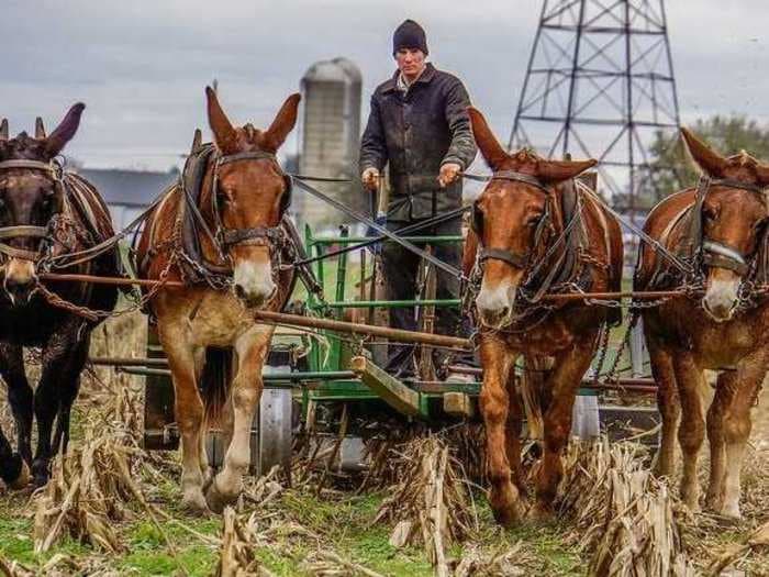 13 Things The Amish Can Teach Us About Money