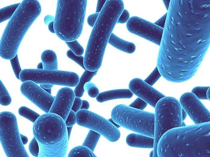 Researchers Discover Immunity-boosting Molecule To Fight Bacterial Attack