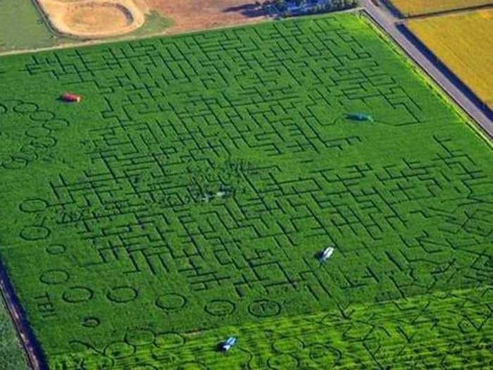 The World's Biggest Corn Maze Is So Hard That People Are Calling 911 From Inside