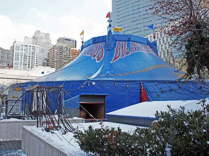 Step Inside The Odd World Of The Big Apple Circus, Where Performers Live, Train, And Find Love