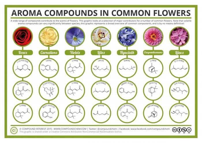 The science of why flowers smell so good