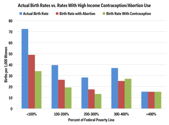 Controlling fertility in America is an economic issue