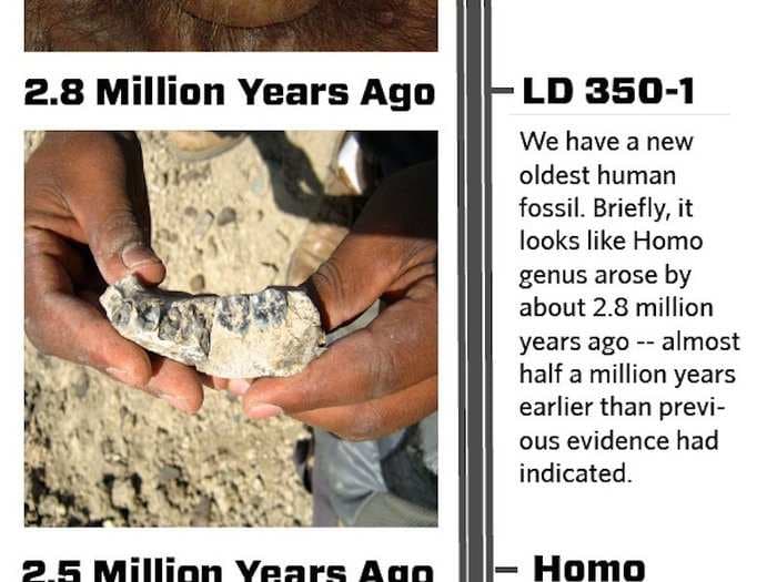 A new fossil just rewrote the timeline of human evolution - here's what it looks like now