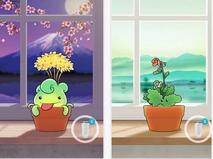 The most important app on my phone is an adorable plant that reminds me to drink water