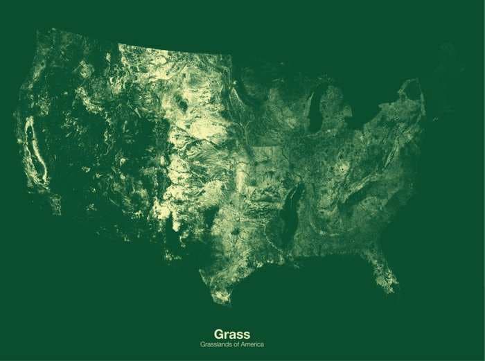 Beautifully detailed maps show what makes up the American landscape 