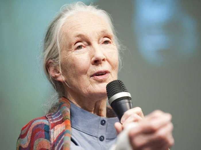 3 of Jane Goodall's devastating predictions for 2050 are already coming true - here's why she still has hope