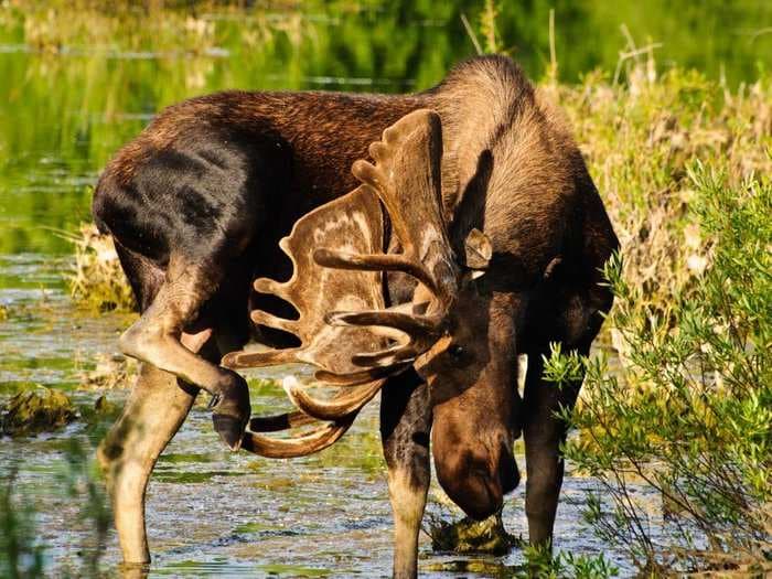 33 stunning pictures of US national parks