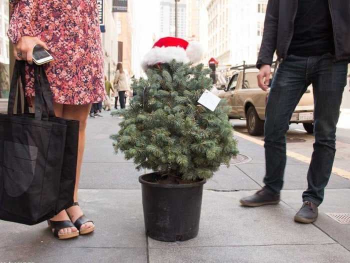 Uber delivered us a mini Christmas tree and an a cappella group to celebrate its fifth birthday