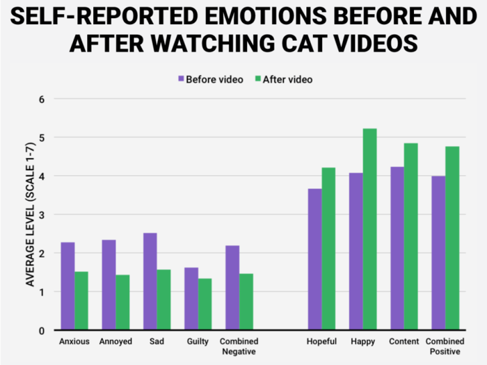 The Internet loves cat videos for a surprisingly good reason, says new study 